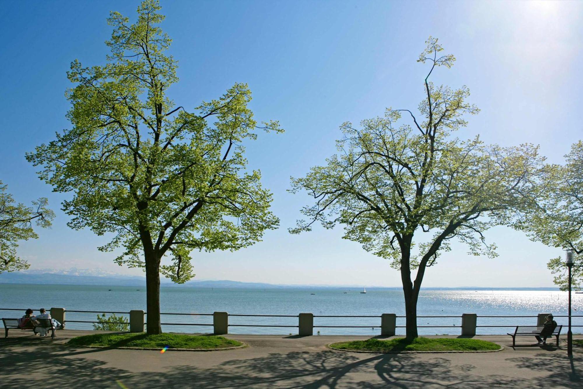 Relax Apartment Black & White Friedrichshafen Exterior photo